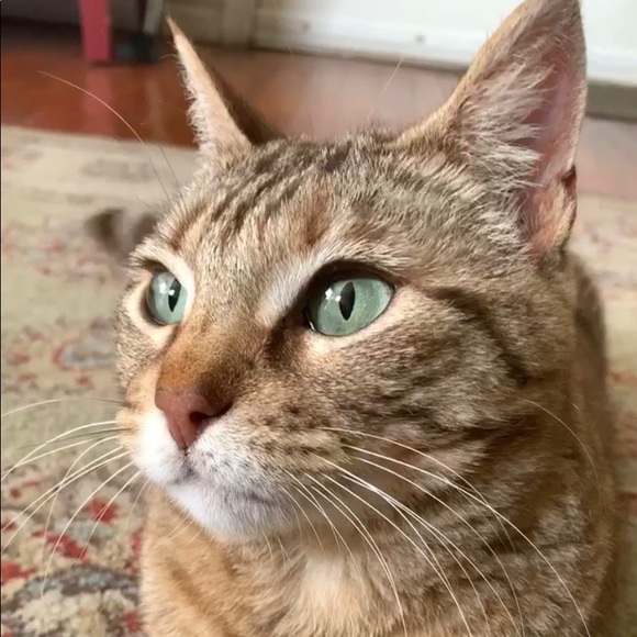 PLEASE READ & SHARE - Picture 2 of 5